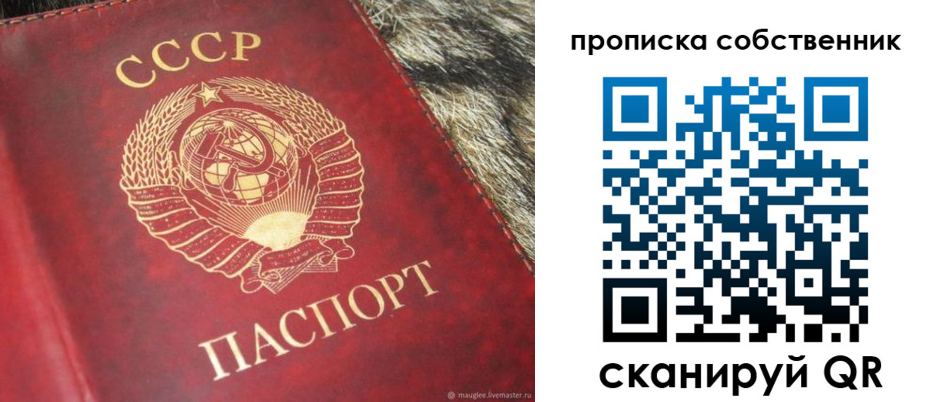 прописка в квартире в Нелидово